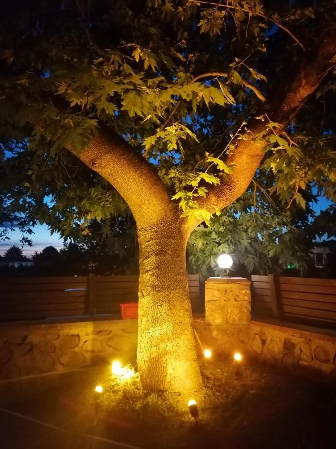 Vital Home Sapanca Isitmali Havuzlu Villa&Bungalov מראה חיצוני תמונה